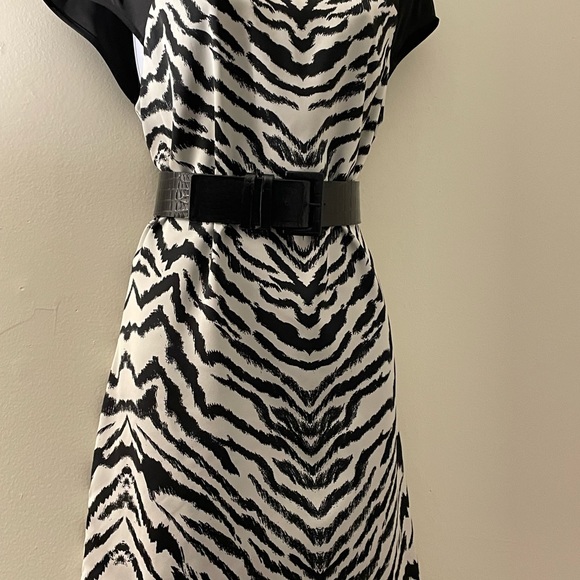 💙Express: zebra print dress - Picture 3 of 6